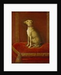 One of Frederick II's Italian Greyhounds by German School