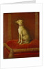 One of Frederick II's Italian Greyhounds by German School