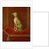 One of Frederick II's Italian Greyhounds by German School