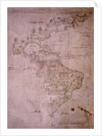 Map of the New World, c.1532 by Anonymous
