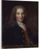 Portrait of Voltaire by Catherine Lusurier