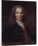Portrait of Voltaire by Catherine Lusurier