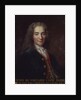 Portrait of Voltaire by Catherine Lusurier
