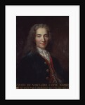 Portrait of Voltaire by Catherine Lusurier