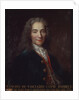 Portrait of Voltaire by Catherine Lusurier