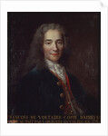 Portrait of Voltaire by Catherine Lusurier