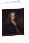 Portrait of Voltaire by Catherine Lusurier