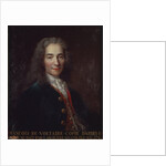 Portrait of Voltaire by Catherine Lusurier
