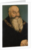 George the bearded by Lucas the Elder Cranach