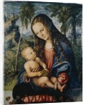 Madonna under the fir tree, c.1510 by Lucas the Elder (after) Cranach