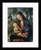 Madonna under the fir tree, c.1510 by Lucas the Elder (after) Cranach