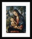 Madonna under the fir tree, c.1510 by Lucas the Elder (after) Cranach