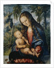 Madonna under the fir tree, c.1510 by Lucas the Elder (after) Cranach