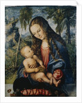 Madonna under the fir tree, c.1510 by Lucas the Elder (after) Cranach