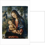 Madonna under the fir tree, c.1510 by Lucas the Elder (after) Cranach