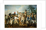 Napoleon and the Bavarian and Wurttemberg troops in Abensberg, 20th April 1809 by Jean Baptiste Debret