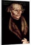Hans Luther, Father of Martin Luther by Lucas the Elder Cranach