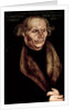 Hans Luther, Father of Martin Luther by Lucas the Elder Cranach