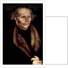 Hans Luther, Father of Martin Luther by Lucas the Elder Cranach