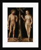 Adam and Eve, 1513/15 by Lucas the Elder Cranach