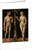 Adam and Eve, 1513/15 by Lucas the Elder Cranach
