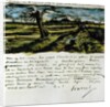 Letter 252 from Vincent van Gogh to Theo van Gogh: Pollard Willow, c.1st August 1882 by Vincent van Gogh