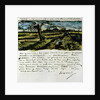 Letter 252 from Vincent van Gogh to Theo van Gogh: Pollard Willow, c.1st August 1882 by Vincent van Gogh