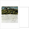 Letter 252 from Vincent van Gogh to Theo van Gogh: Pollard Willow, c.1st August 1882 by Vincent van Gogh