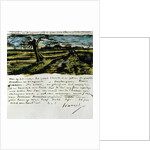 Letter 252 from Vincent van Gogh to Theo van Gogh: Pollard Willow, c.1st August 1882 by Vincent van Gogh