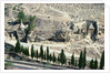 Kidron Valley at the foot of the Mount of Olives by Anonymous