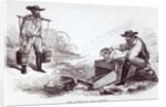 The Australian Gold Diggers by English School