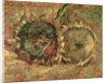 Two Cut Sunflowers, 1887 by Vincent van Gogh