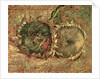 Two Cut Sunflowers, 1887 by Vincent van Gogh