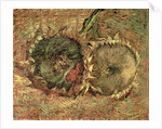 Two Cut Sunflowers, 1887 by Vincent van Gogh