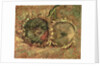 Two Cut Sunflowers, 1887 by Vincent van Gogh