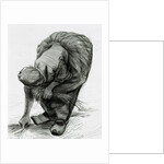 Peasant Woman Gleaning, 1885 by Vincent van Gogh