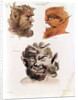 Heads of Evil Demons: Theumis, Asmodeus and The Incubus, illustrations from 'The Magus', pub. 1801 by Francis Barrett