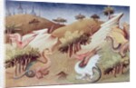 Dragons and other beasts, c.1410-12 by Boucicaut Master