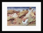 Dragons and other beasts, c.1410-12 by Boucicaut Master