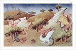 Dragons and other beasts, c.1410-12 by Boucicaut Master