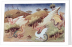 Dragons and other beasts, c.1410-12 by Boucicaut Master
