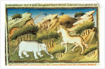 Mythical animals in the wilderness, c.1410-12 by Boucicaut Master