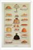 Sweets, colour plate from Mrs Beeton's Everyday Cookery and Housekeeping Book, pub.1890 by Anonymous