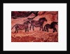 Rock painting of tarpans, c.17000 BC by Prehistoric Prehistoric