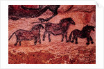 Rock painting of tarpans, c.17000 BC by Prehistoric Prehistoric