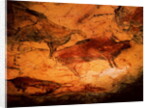 Bison from the Caves at Altimira, c.15000 BC by Prehistoric Prehistoric