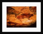 Bison from the Caves at Altimira, c.15000 BC by Prehistoric Prehistoric