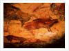 Bison from the Caves at Altimira, c.15000 BC by Prehistoric Prehistoric
