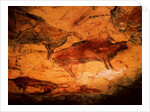 Bison from the Caves at Altimira, c.15000 BC by Prehistoric Prehistoric