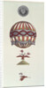 Design for a balloon in honour of Napoleon's coronation, 1804 by Anonymous